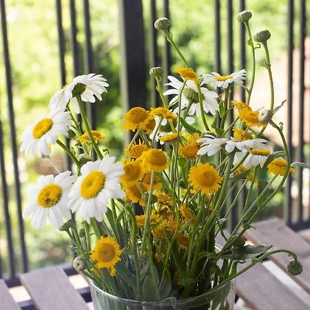 The Captain Be My Guests! By Rv Apartmán