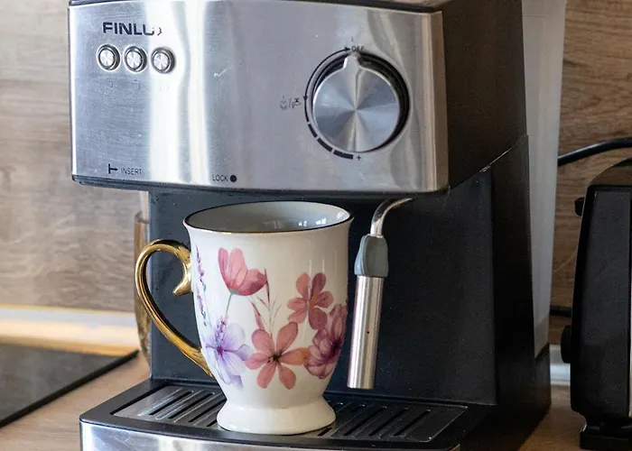 The Captain Be My Guests! By Rv